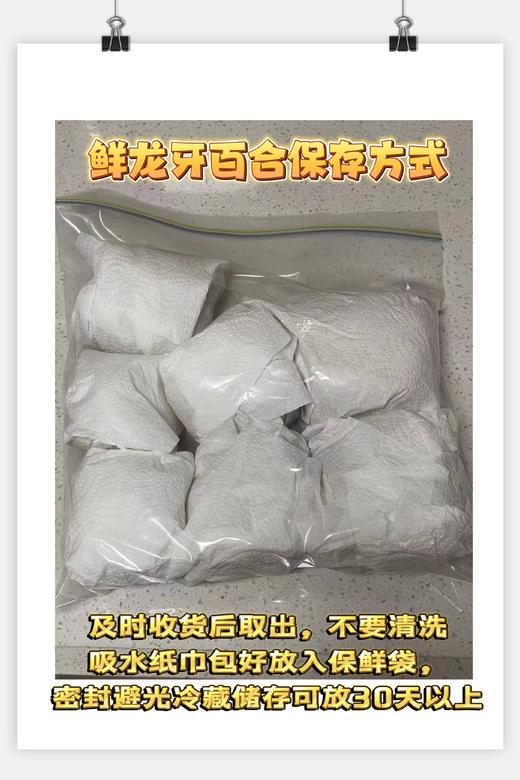 鲜龙牙百合【新果活动】 商品图5