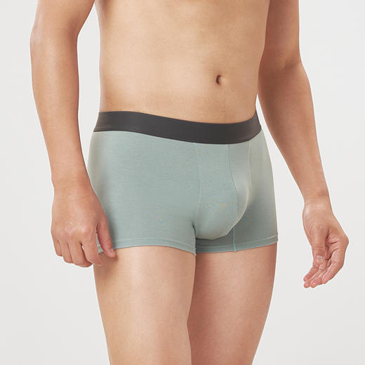 都市丽人都市锋尚简约基础40S棉拉架棉质平角男士内裤FK3CD2 商品图2