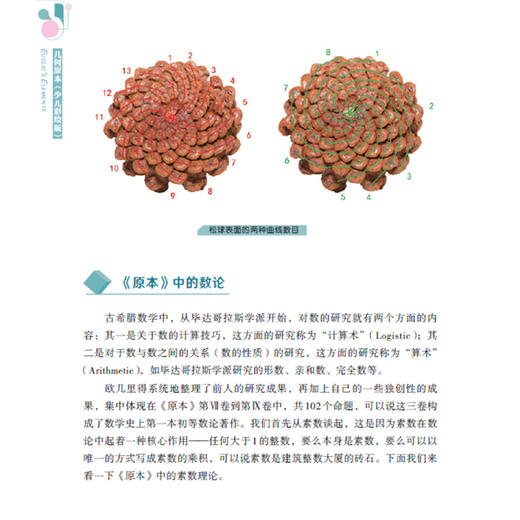《几何原本:少儿彩绘版》+《化学基础论:少儿彩绘版》（共2册）【新版】 商品图8