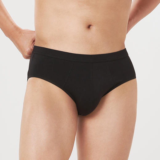 都市丽人都市锋尚简约基础60S木莱尔人棉三角男士内裤FK31A1 商品图2