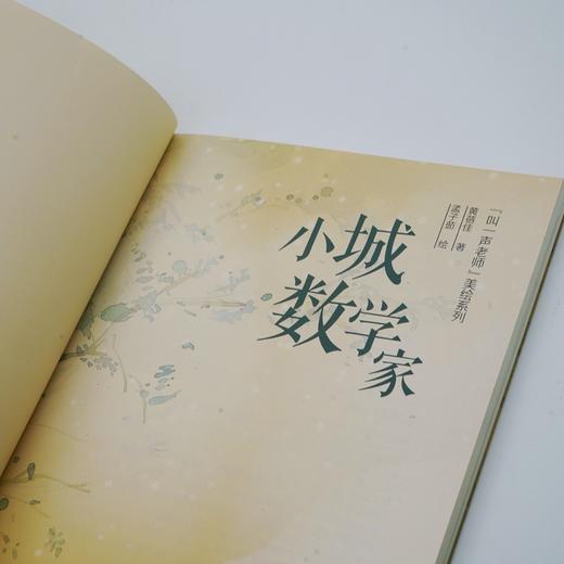 黄蓓佳“叫一声老师”美绘系列：小城数学家(黄蓓佳) 商品图4