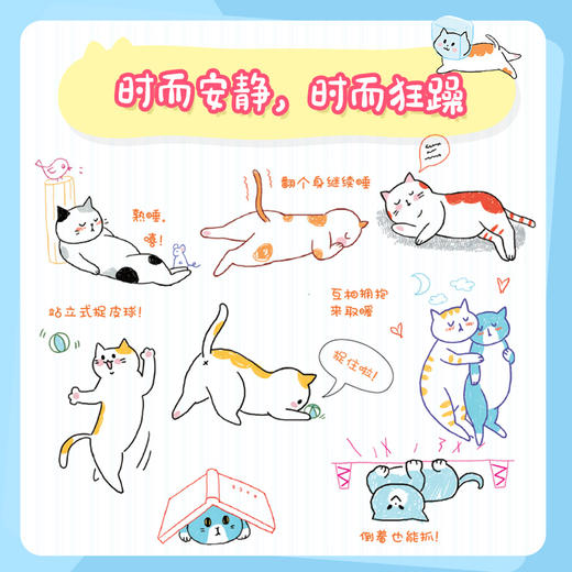 飞乐鸟 猫里猫气 减压猫咪简笔画 商品图3