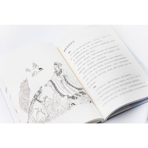 我们的祖先：中华姓氏的故事——中华姓氏来源名人小故事经典国学书目 商品图5