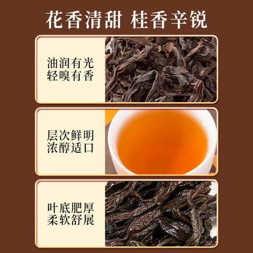 岩语 若水试饮集 大红袍水仙肉桂组合特级乌龙茶中足火岩茶25.5g 商品图1
