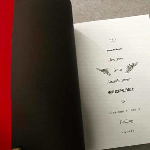 【精选好书】重新找回爱的能力 商品图2