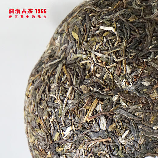 （藏家必入款）澜沧古茶春億金瓜景迈古树普洱生茶1000g 商品图4
