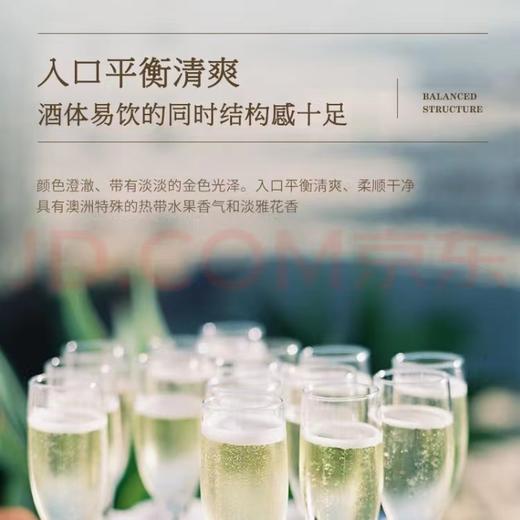 【1.5L大容量】天鹅庄 蓝龙虾MAX霞多丽干白葡萄酒 澳大利亚 10.5%vol 商品图3