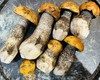 美味牛肝菌 商品缩略图0
