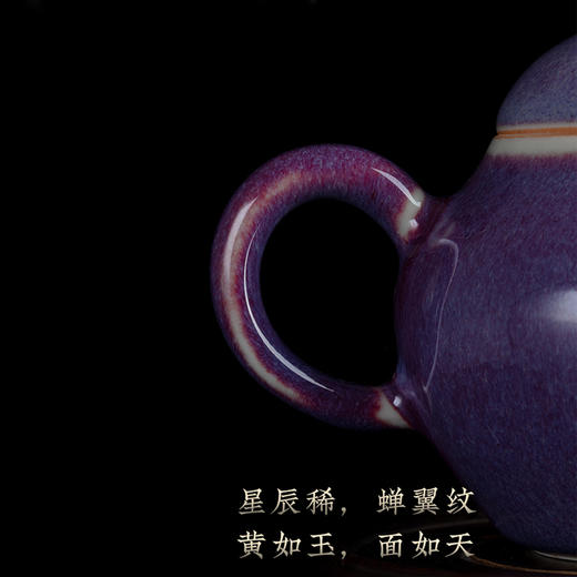 【问鼎钧瓷】君德急须壶中式功夫茶壶 商品图1