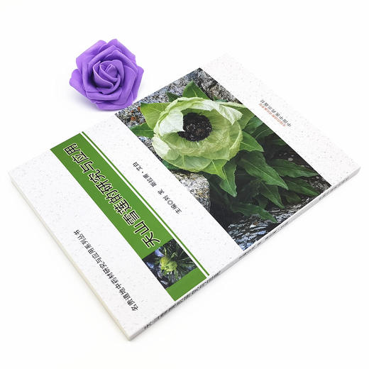 天山雪莲的研究与应用 名贵道地中药材研究与应用系列丛书 刘发 斯拉甫·艾白 主编 中国中医药出版社 书籍 商品图4