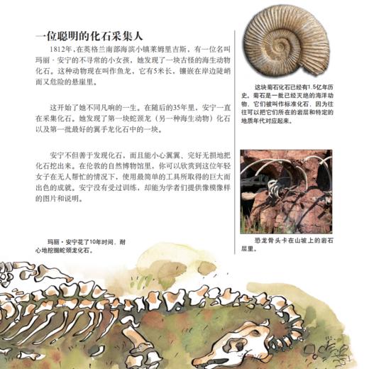 《万物简史：少儿彩绘版》（第二版）+《天体运行论：少儿彩绘版》（共2册）【新版】 商品图6