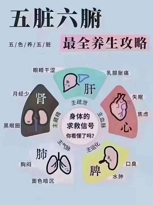 野生灵芝 五色茶包 商品图3