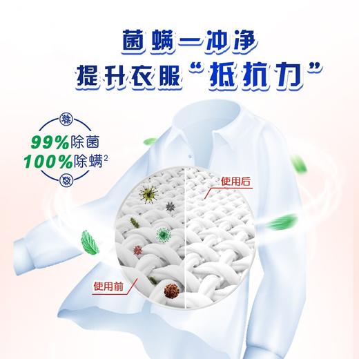 奥妙桉树除菌洗衣凝珠 336g 商品图3