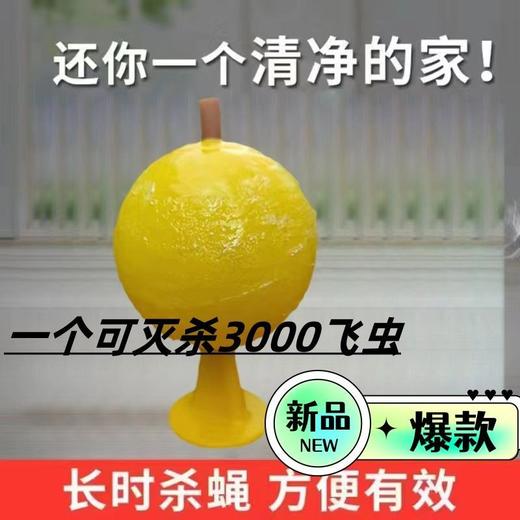 买一送一 果蝇克星室内除小飞虫水果店厨房卫生间驱蚊虫防苍蝇无毒杀诱粘剂 商品图5