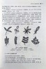 全国中医药行业高等教育“十三五”创新教材——药用植物学简明教程【严玉平 】 商品缩略图1