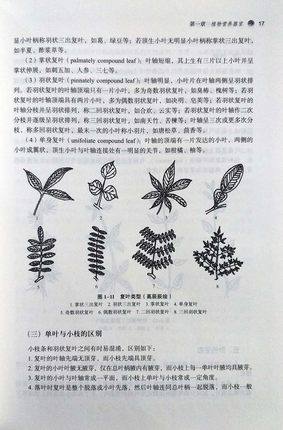 全国中医药行业高等教育“十三五”创新教材——药用植物学简明教程【严玉平 】 商品图1