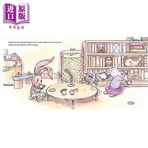 【中商原版】启能成长：毛绒兔萝丝的旅游记（社交焦虑）Brian Wray：Traveling Rose英文原版 亲子绘本 动物故事书图画书 商品图4