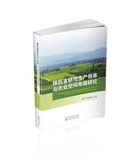 陕西省耕地生产效率与农业空间布局研究