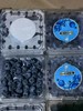 【10元3盒】特价蓝莓(1500673) 商品缩略图0