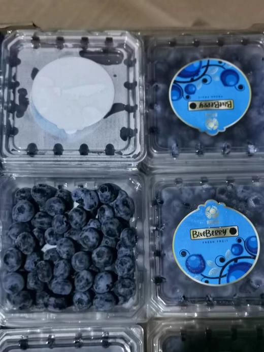 【10元3盒】特价蓝莓(1500673) 商品图0