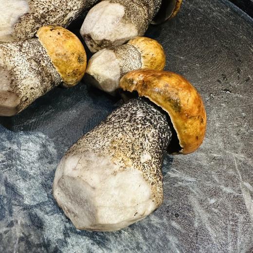 美味牛肝菌 商品图1