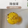 买一送一 果蝇克星室内除小飞虫水果店厨房卫生间驱蚊虫防苍蝇无毒杀诱粘剂 商品缩略图3
