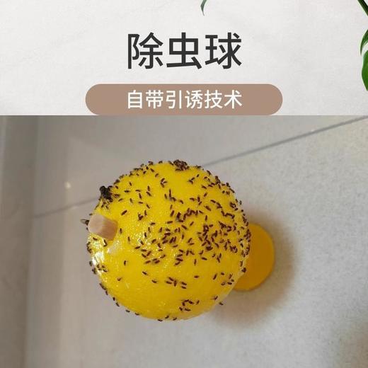 买一送一 果蝇克星室内除小飞虫水果店厨房卫生间驱蚊虫防苍蝇无毒杀诱粘剂 商品图3