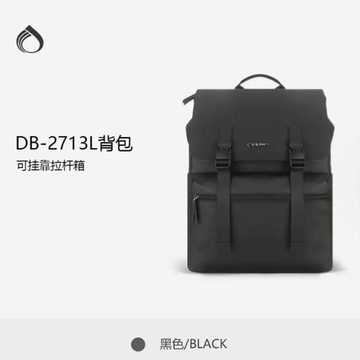 4楼外交官DB-2713L双肩背包 商品图0