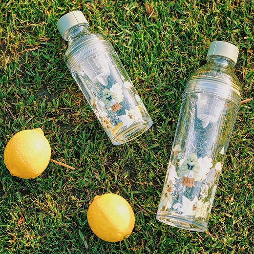 【HARIO】进口PCT树脂户外运动冷水壶冷泡壶水果茶壶FIBP 插画版 商品图1