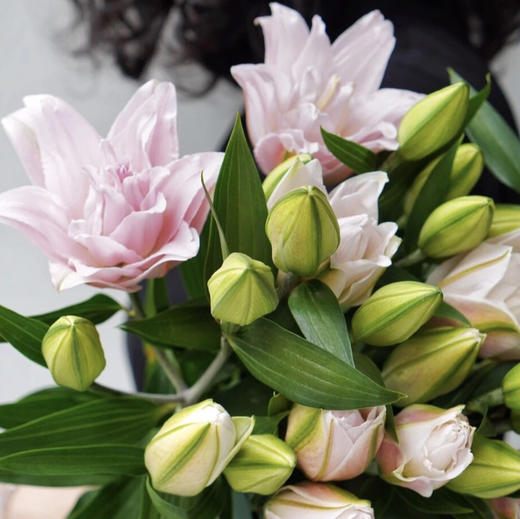 A重瓣.女神百合.粉黛 商品图0