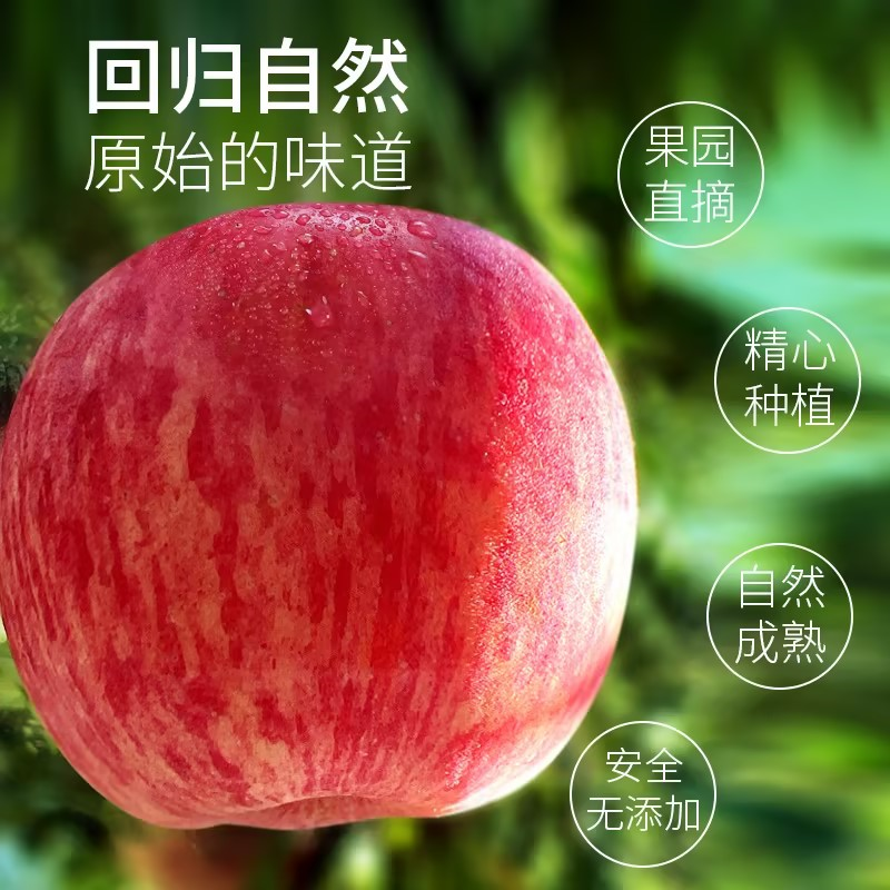 山东栖霞红富士苹果 中国中化出品 5斤礼盒装 全程可追溯