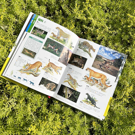 小学馆大百科：哺乳动物 商品图3