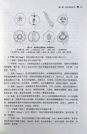 全国中医药行业高等教育“十三五”创新教材——药用植物学简明教程【严玉平 】 商品图2