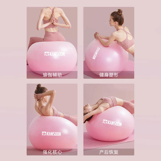  凯速加厚瑜伽训练球 EA65 商品图2