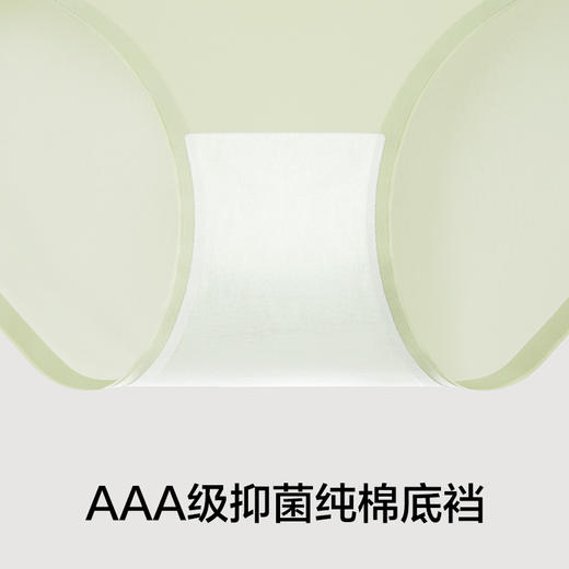 有棵树冰丝无痕女士内裤3条装C-U3058 商品图5
