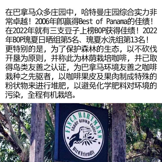 巴拿马 哈特曼 水洗瑰夏  单品手冲咖啡豆  商品图1