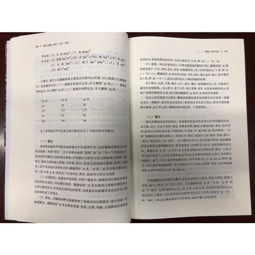 彝人论彝:语言·文化·认同(人类学新视野丛书)(巫达 著) 商品图4