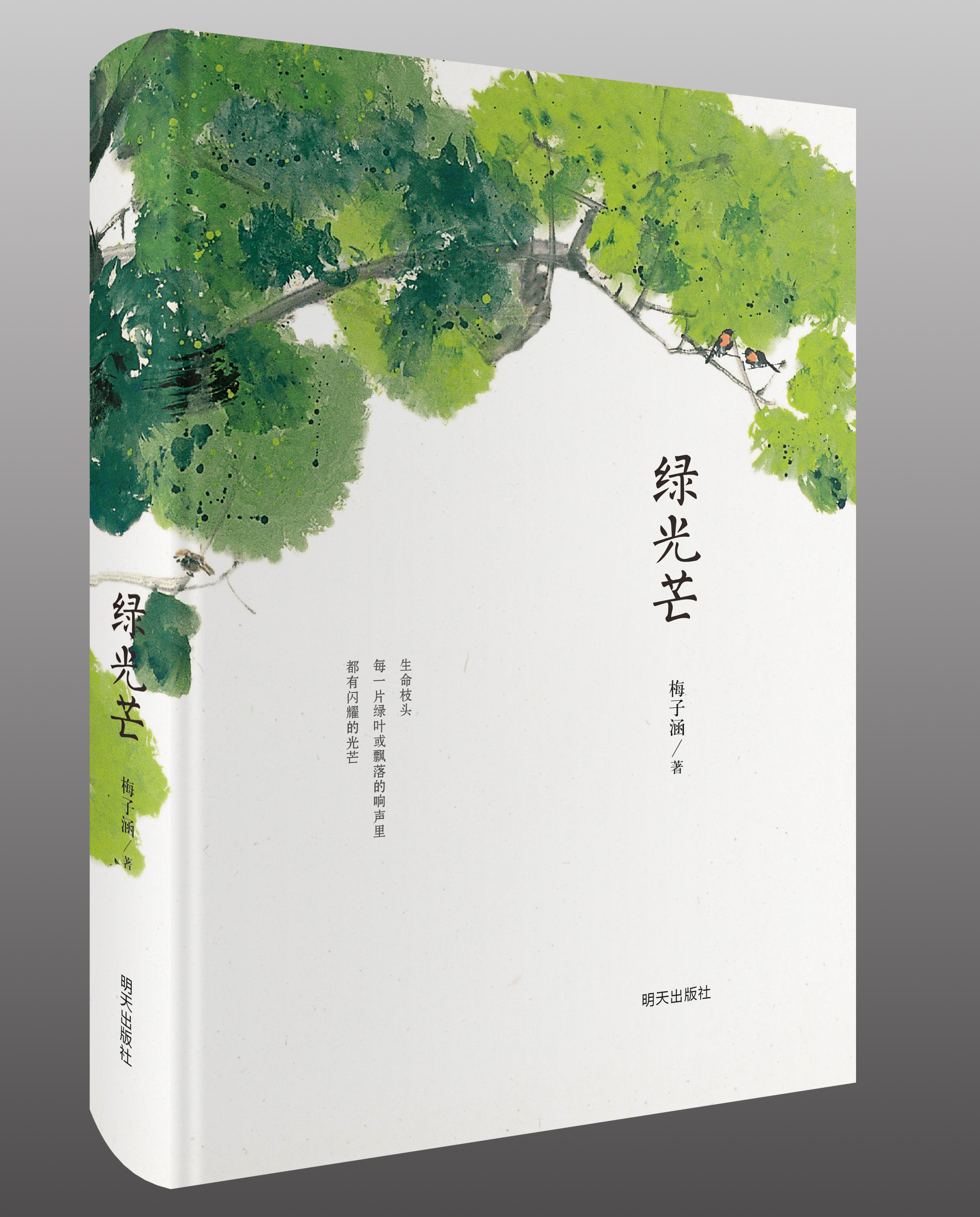 【精装版】 绿光芒