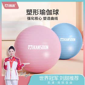  凯速加厚瑜伽训练球 EA65