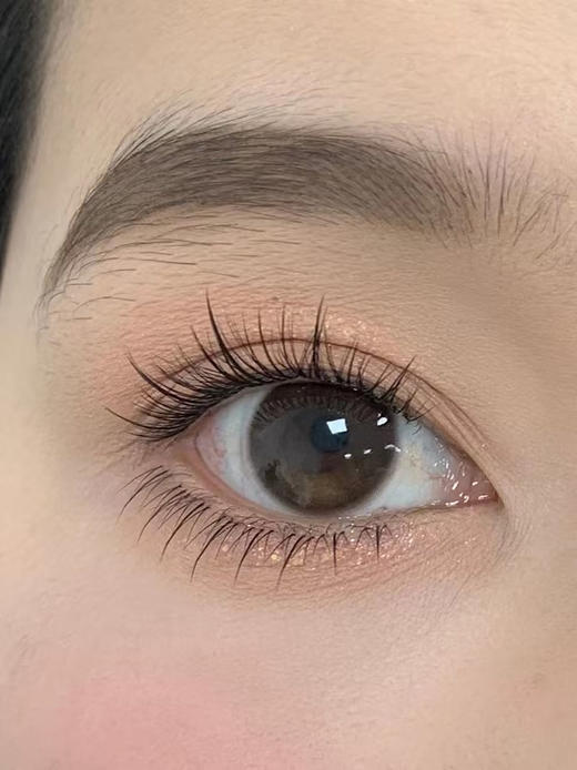 BarieCat 小卧蚕 日抛 十片 14.2mm 参考着色13.5mm 基弧8.6 含水40% 新锐国货 商品图4