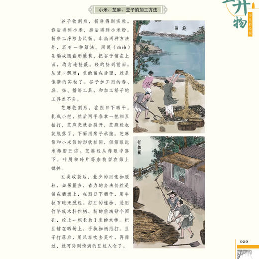 《天工开物：少儿彩绘版》+《梦溪笔谈：少儿彩绘版》+《九章算术：少儿彩绘版》（共三册）【新版】 商品图7