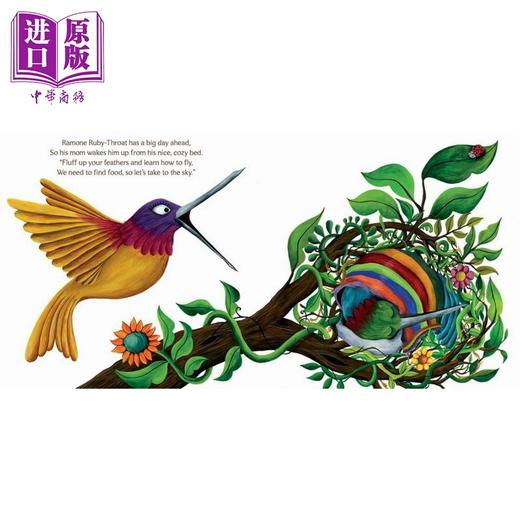 【中商原版】启能成长：翱翔（克服恐惧）Hillary Daecher：SOAR 英文原版 儿童绘本 动物故事图画书 精装亲子绘本 进口图书 商品图3