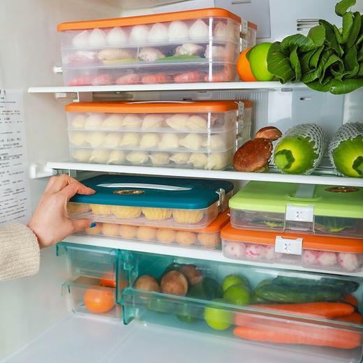 饺子盒专用冻饺子盒冰箱收纳盒家用大容量速冻混沌冷冻保鲜盒多层 商品图9