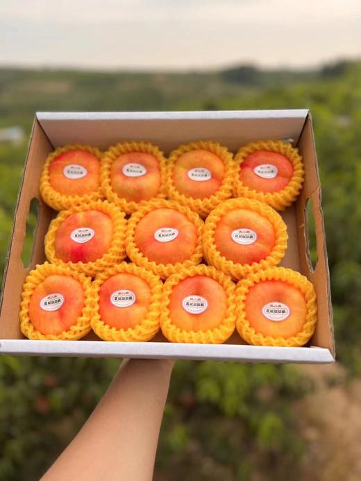 娇颜桃桃 金秋红蜜 桃子 礼盒装 一口下去 满嘴清甜 商品图6