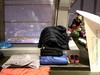 【TOUR632】星星夜宿 夜宿上海之巅 独立1日营 商品缩略图3