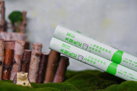 广雅·夏日木屋札记：一场跨越物种的生命对话 自由大地丛书系列 （瑞典）妮娜·波顿/著 商品图2