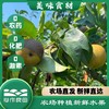 阿林纯天然原生态有机种植上海蜜梨2500g 商品缩略图2