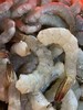 【鲜海虾仁】一份250克约40多只，鲜活海虾纯手工剥成，带凤尾，无任何添加剂，也不带冰衣，是市场上买不到的好虾仁！ 商品缩略图1