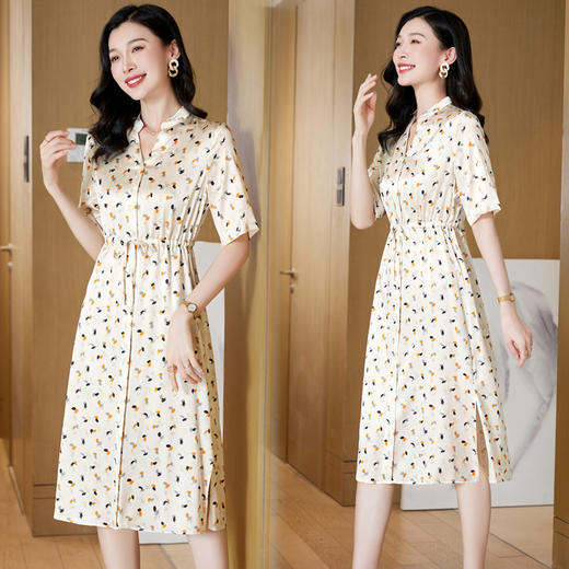 ASE-23060    V领时尚韩版气质优雅真丝连衣裙 商品图1