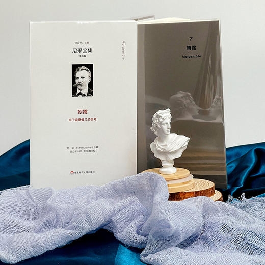 朝霞 尼采全集 注疏版 575节格言式警句 关于道德偏见的思考 商品图1